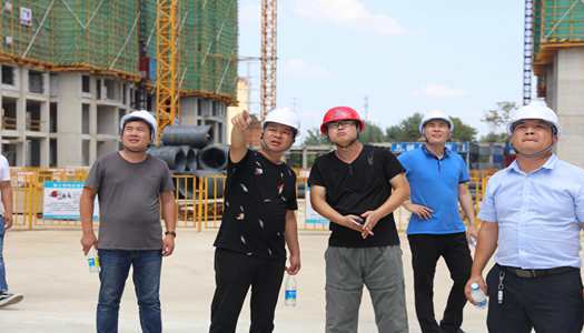 开云手机端·官方版在线-官网入口_开云（中国）
董事会巡检圆满完成